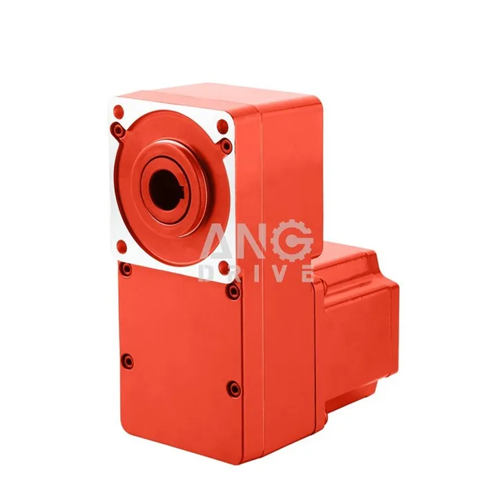 brushless dc electric motor