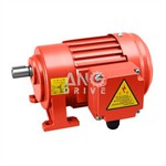 موتور دنده کوچک AC