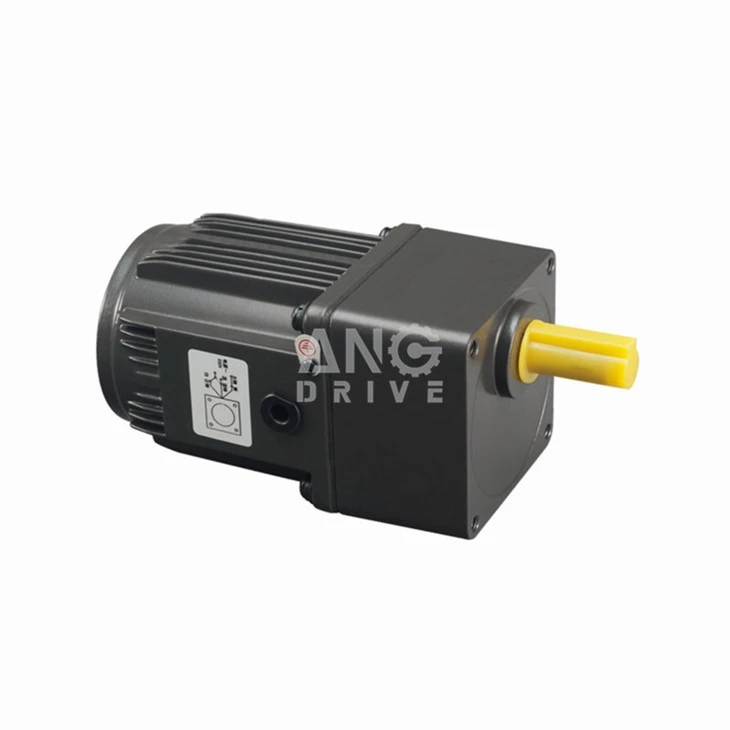 AC gear motor 
