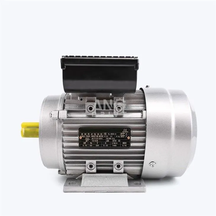 Electronic Motor