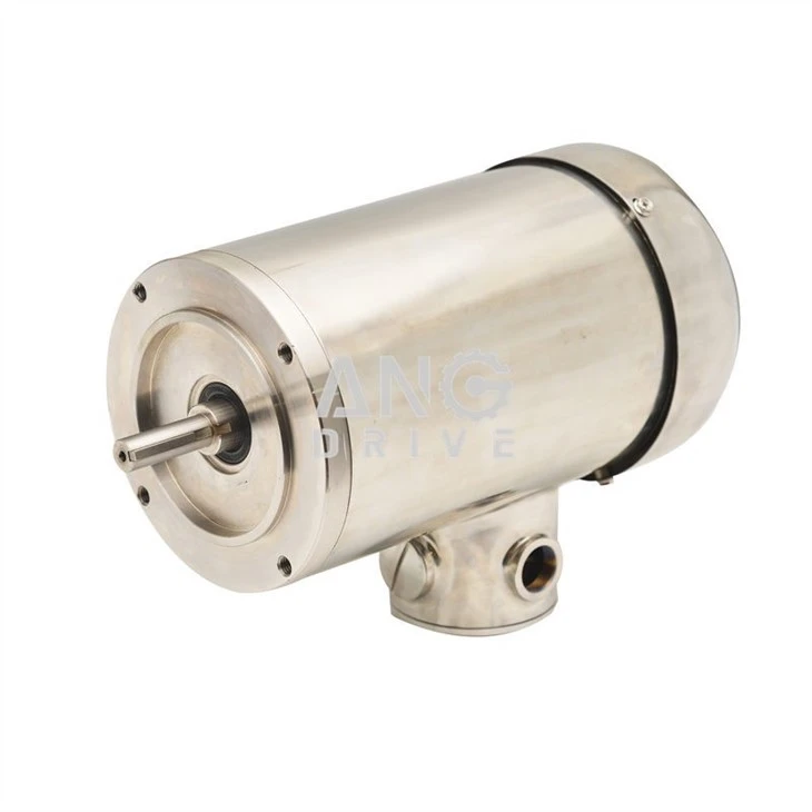 Fountain electric motor