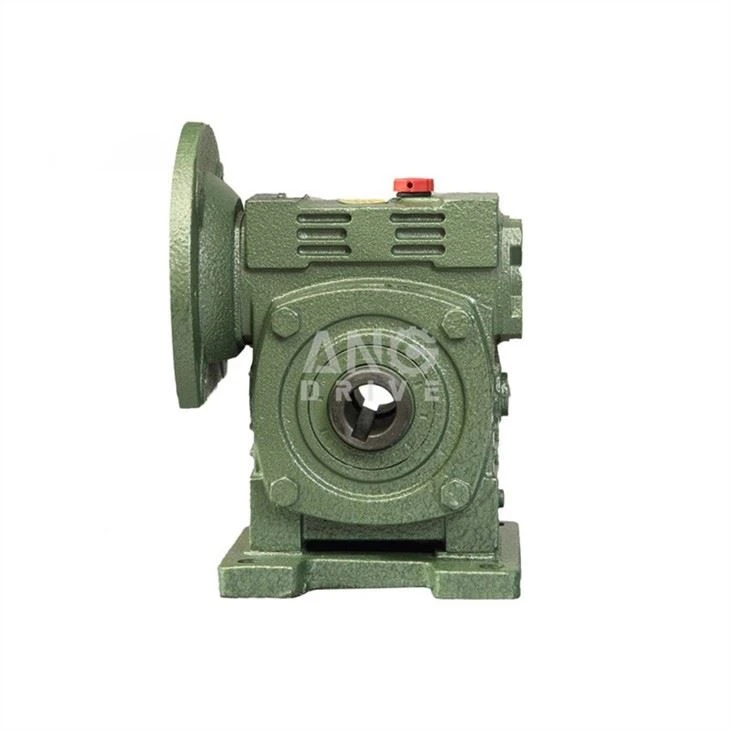 WPWDKS hollow shaft gearbox