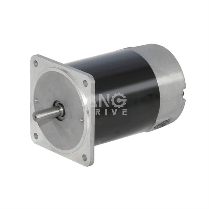 dc brush motor