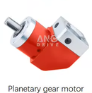 Planetary gear motor1 Planetary gear motor1